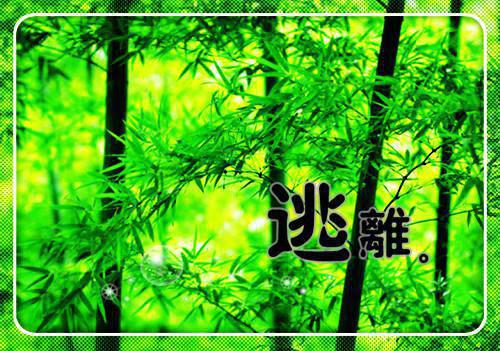 挽回爱情的伤感句子